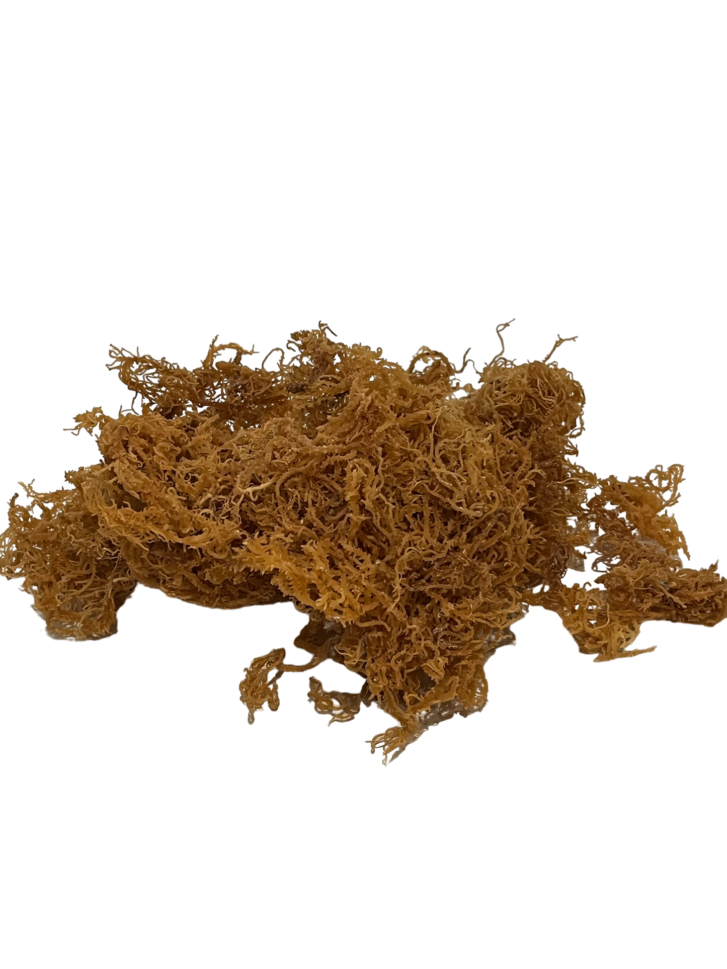 Wild Crafted Dried Gold Seamoss