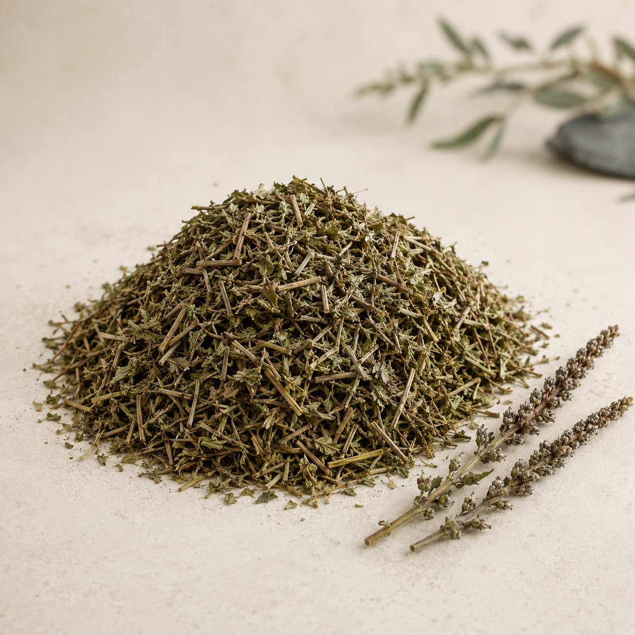 Dried cut blue vervain herb on a warm cream background