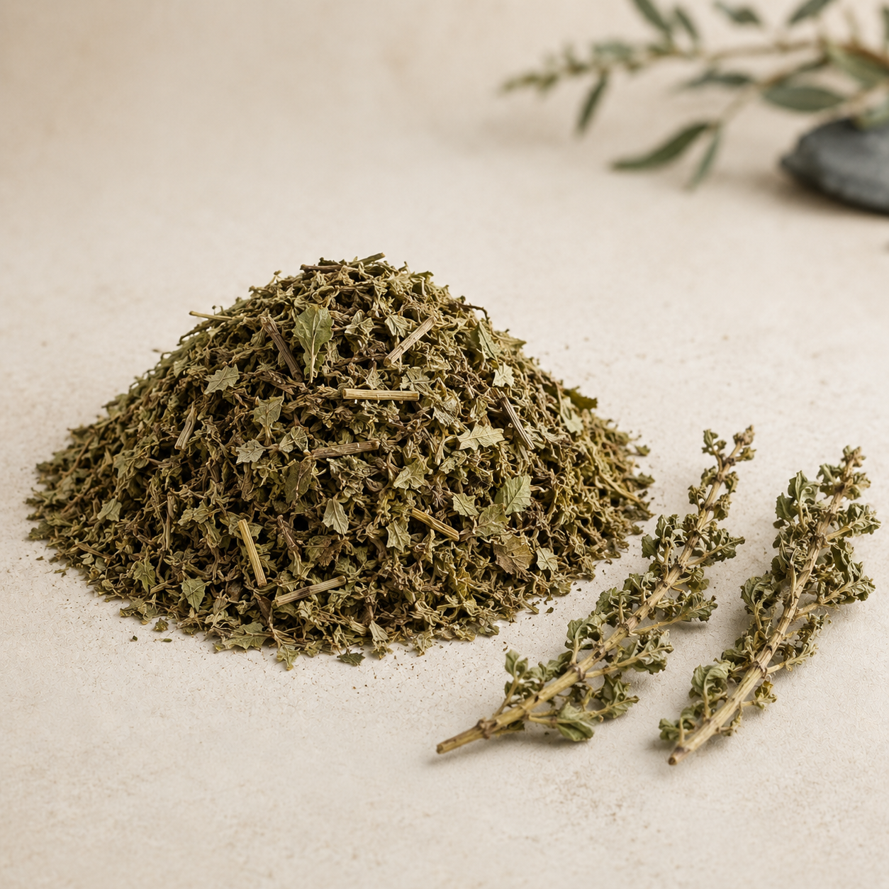 Dried damiana leaf and aerial parts on a warm cream background