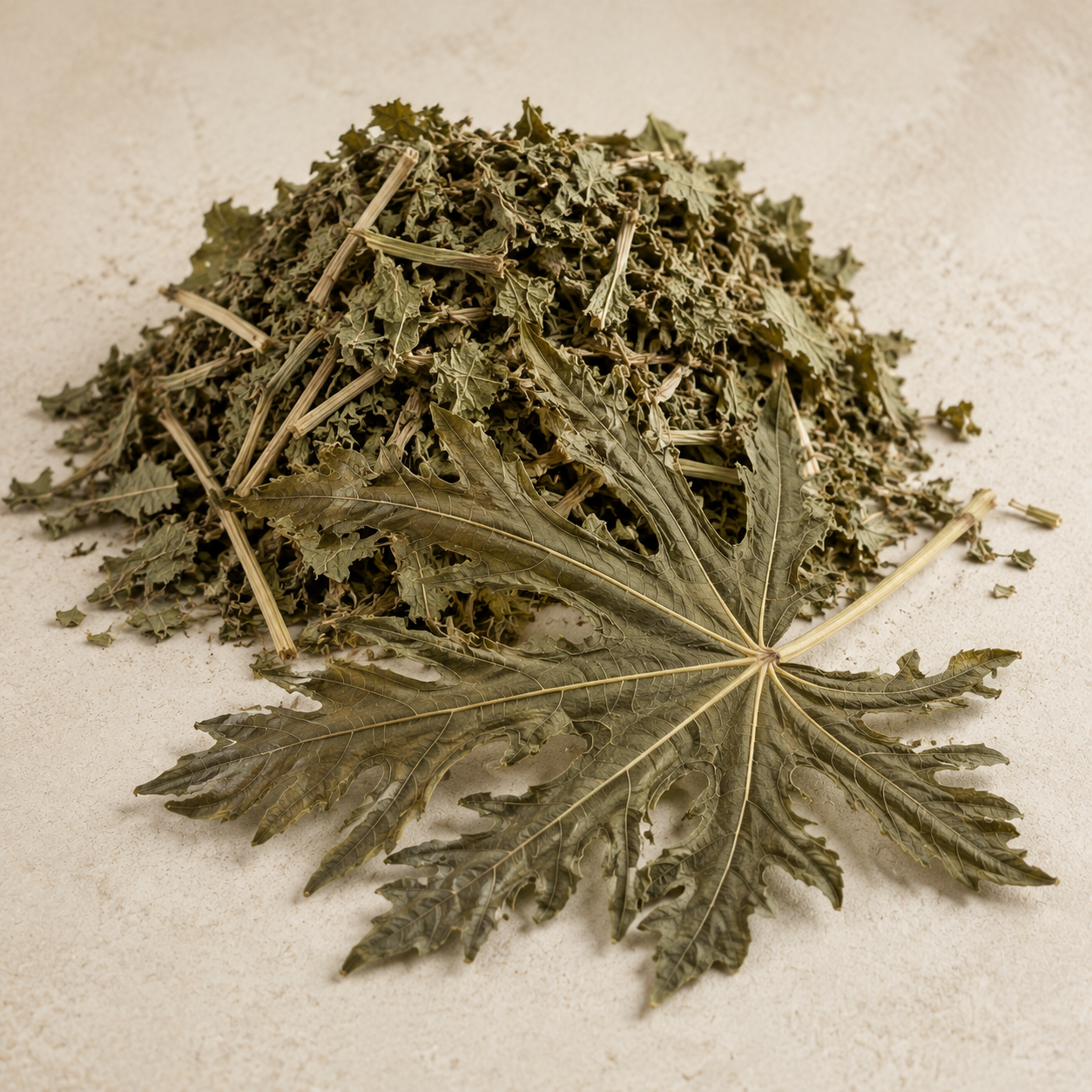 Dried raw ingredient for Tropical Leaf Ritual | Papaya Leaf