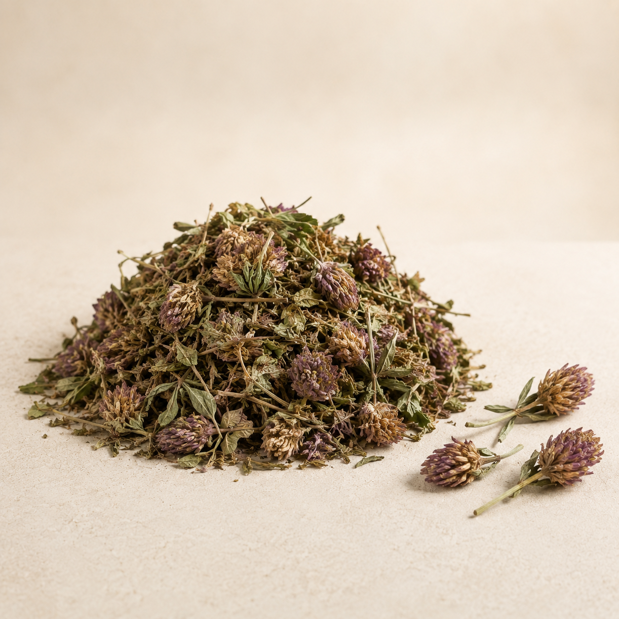 Dried red clover blossoms and aerial parts on a warm cream background