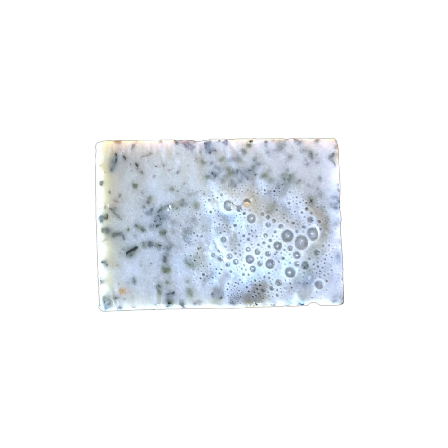 Original photograph of handmade sage sea moss soap bar with lather
