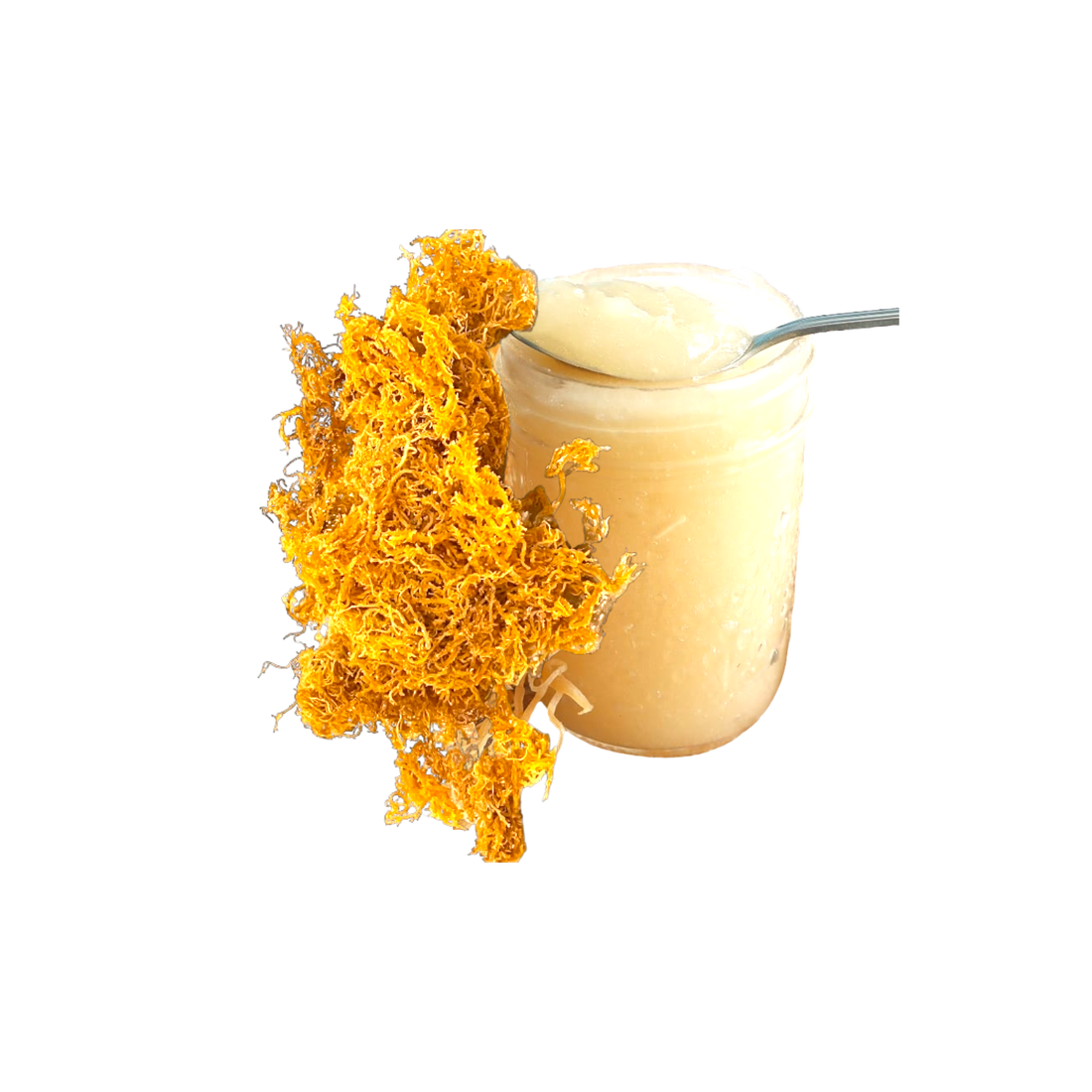 Sea Moss Gel: Your Daily Dose of Wellnes