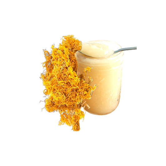 Sea Moss Gel: Your Daily Dose of Wellnes