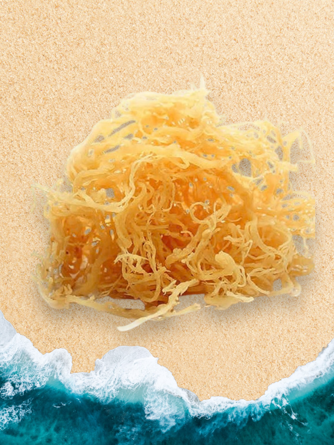 Sea Moss: Nature's Gift to our Body
