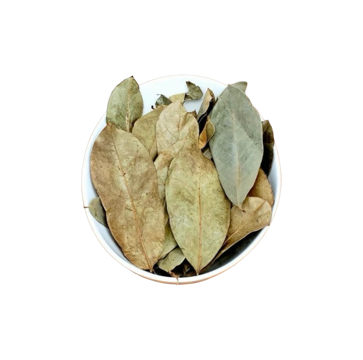 Soursop Leaves