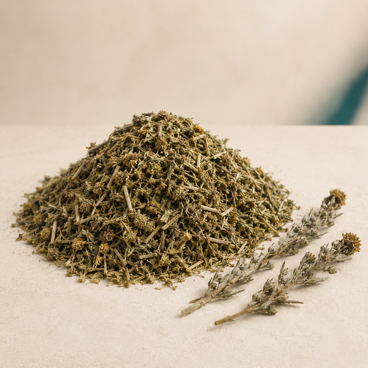 Dried blessed thistle aerial parts on a warm cream background