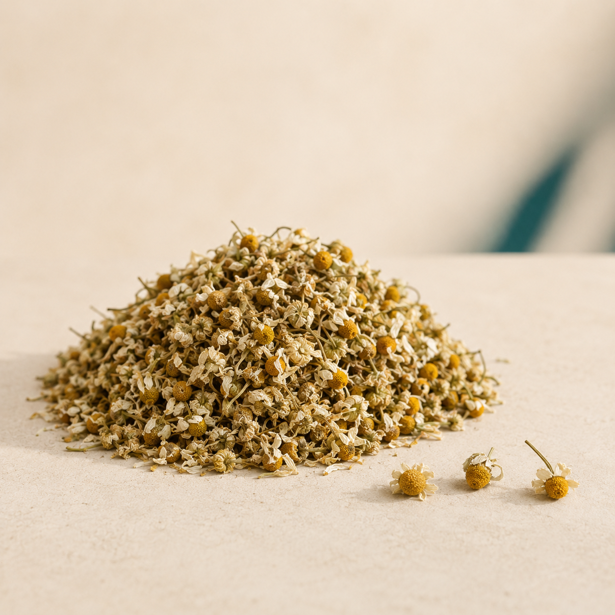 Dried chamomile flower heads on a warm cream background
