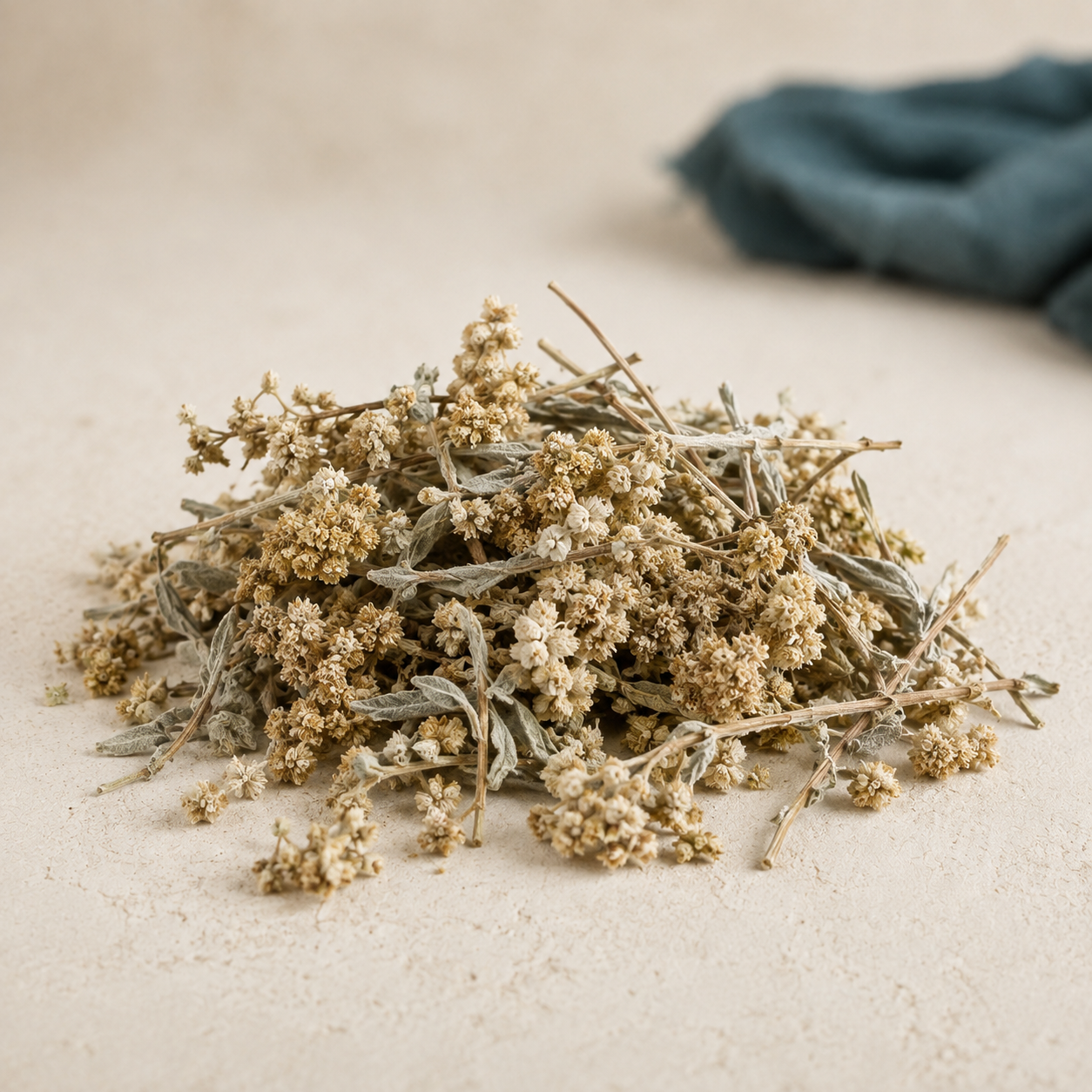 Dried raw ingredient for Mountain Leaf Ritual | Gordo Lobo Herb