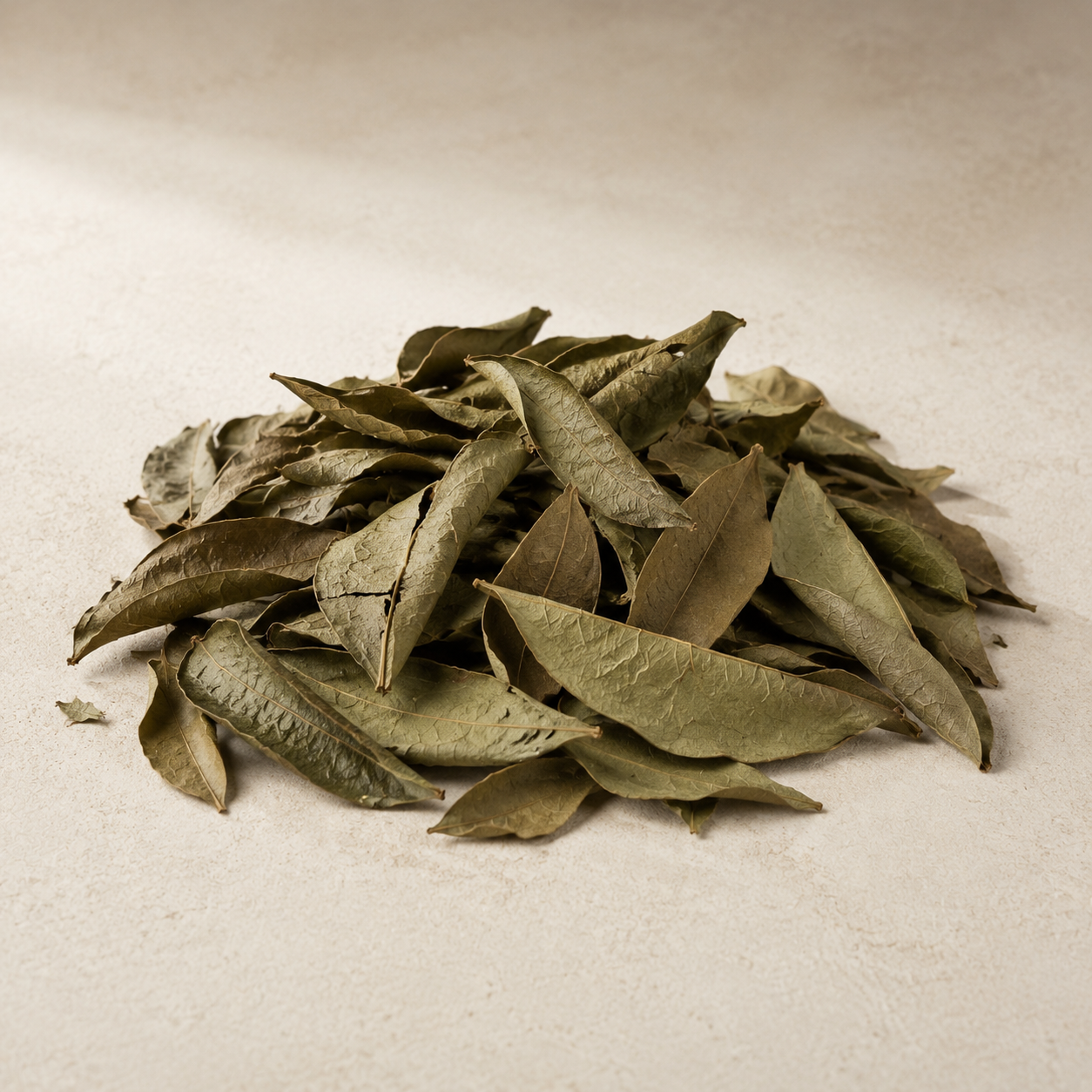 Dried raw ingredient for Tropical Canopy Ritual | Soursop Leaves