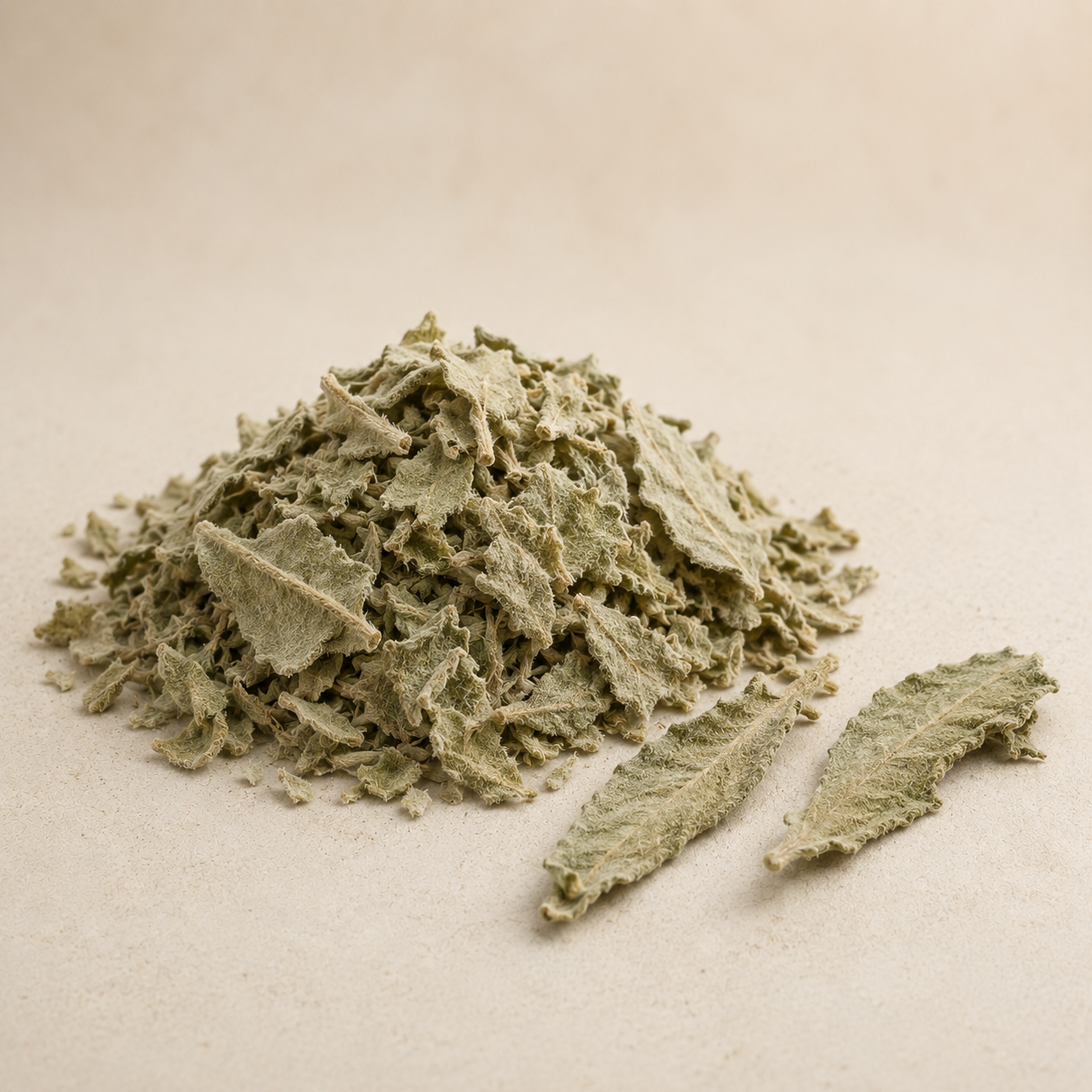 Dried fuzzy mullein leaf pieces on a warm cream background