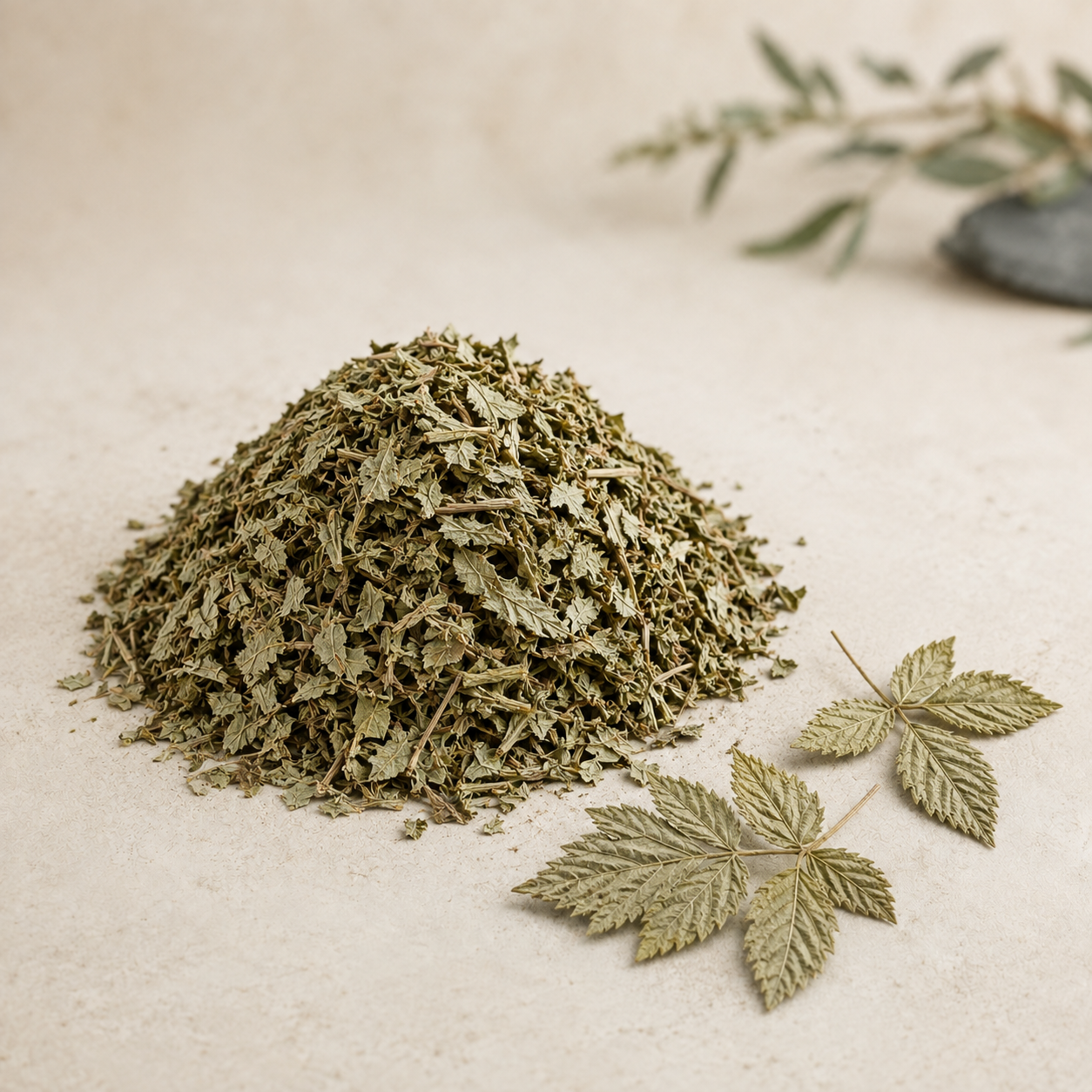 Dried raspberry leaf pieces on a warm cream background
