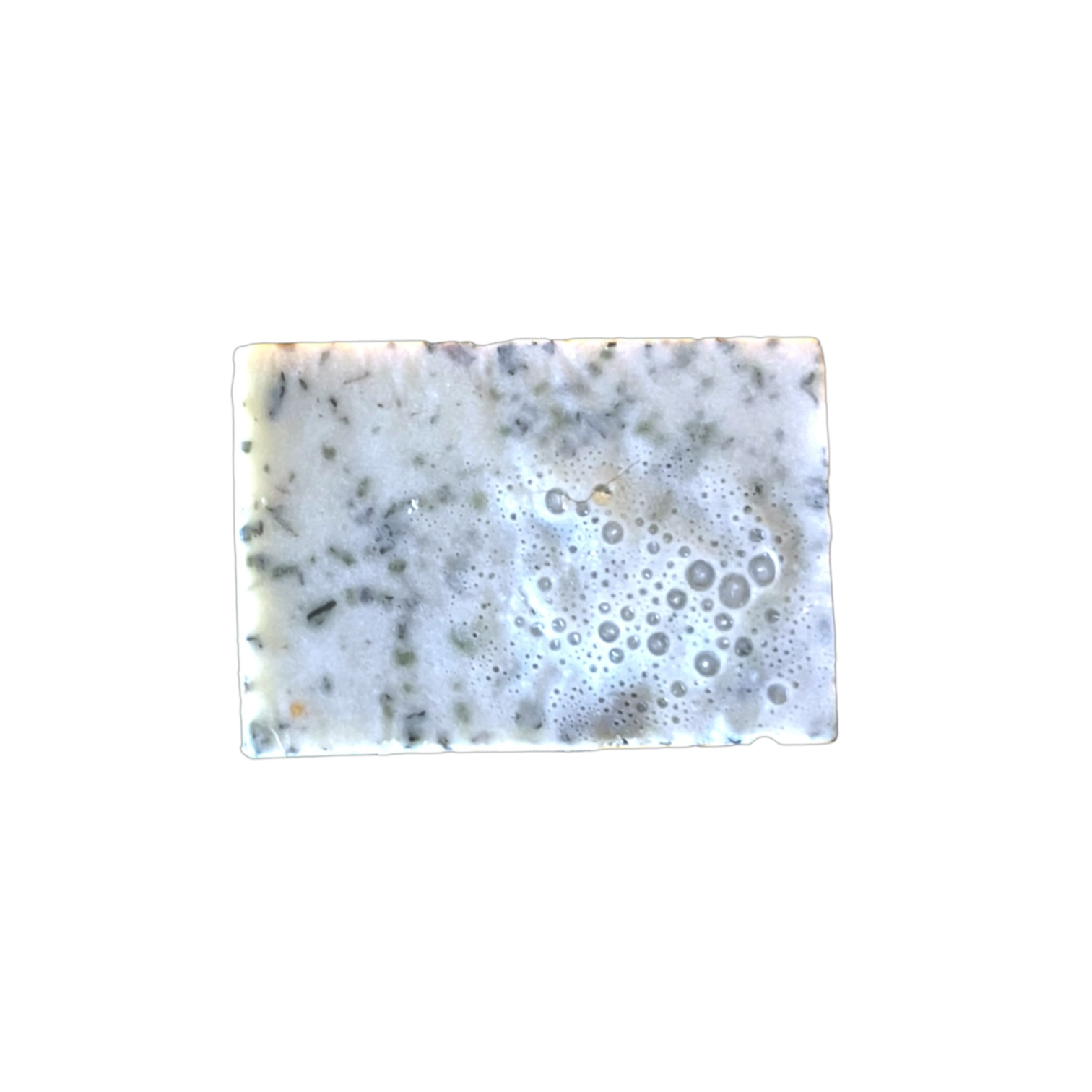 Original photograph of handmade sage sea moss soap bar with lather